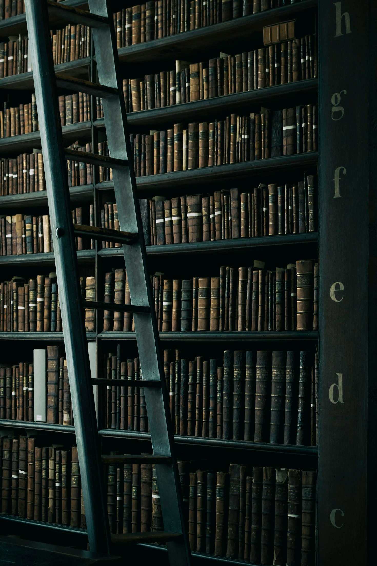 How to Stay Curious in a Busy World