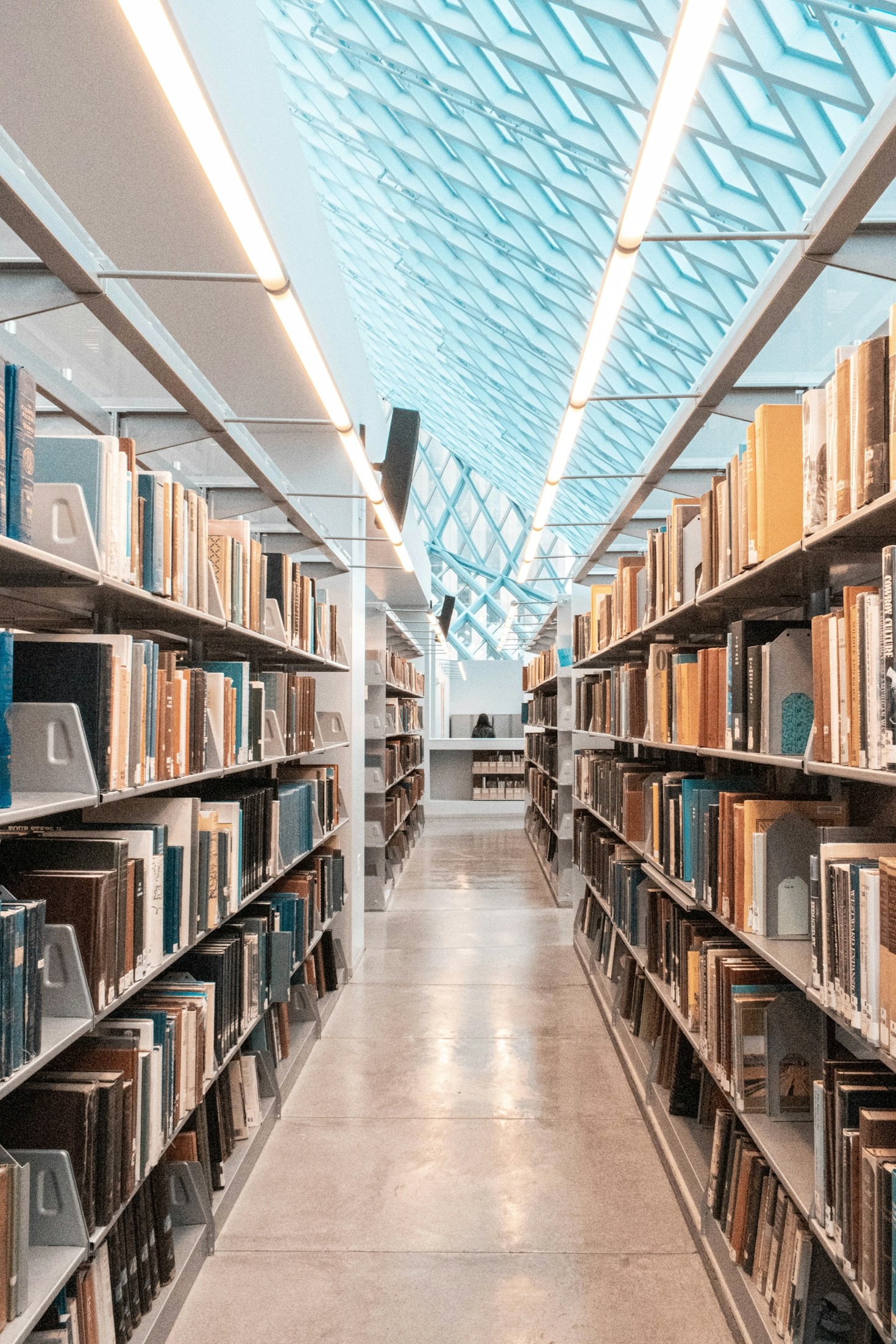 Top Books to Expand Your Worldview