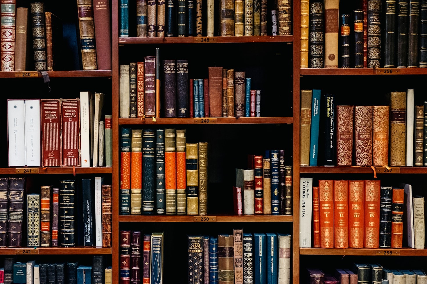 The Role of Creativity in Intellectual Development